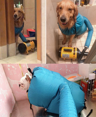 EasyDry Pet Station