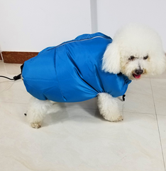 EasyDry Pet Station