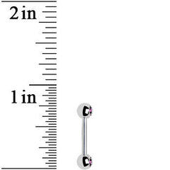 Purple Gem Double Front Facing Steel Nipple Barbell Set