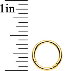 16G 5/16 Gold Anodized Titanium Hinged Segment Ring