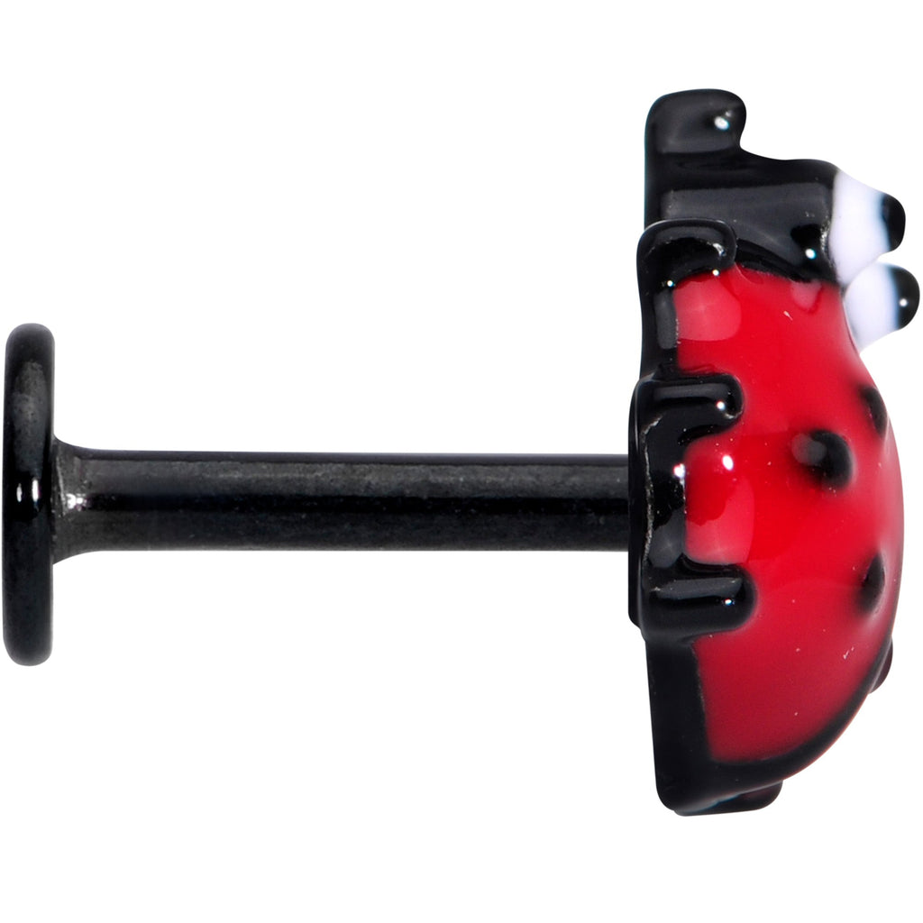 16G 1/4 Black Insect Ladybug Labret Monroe Tragus