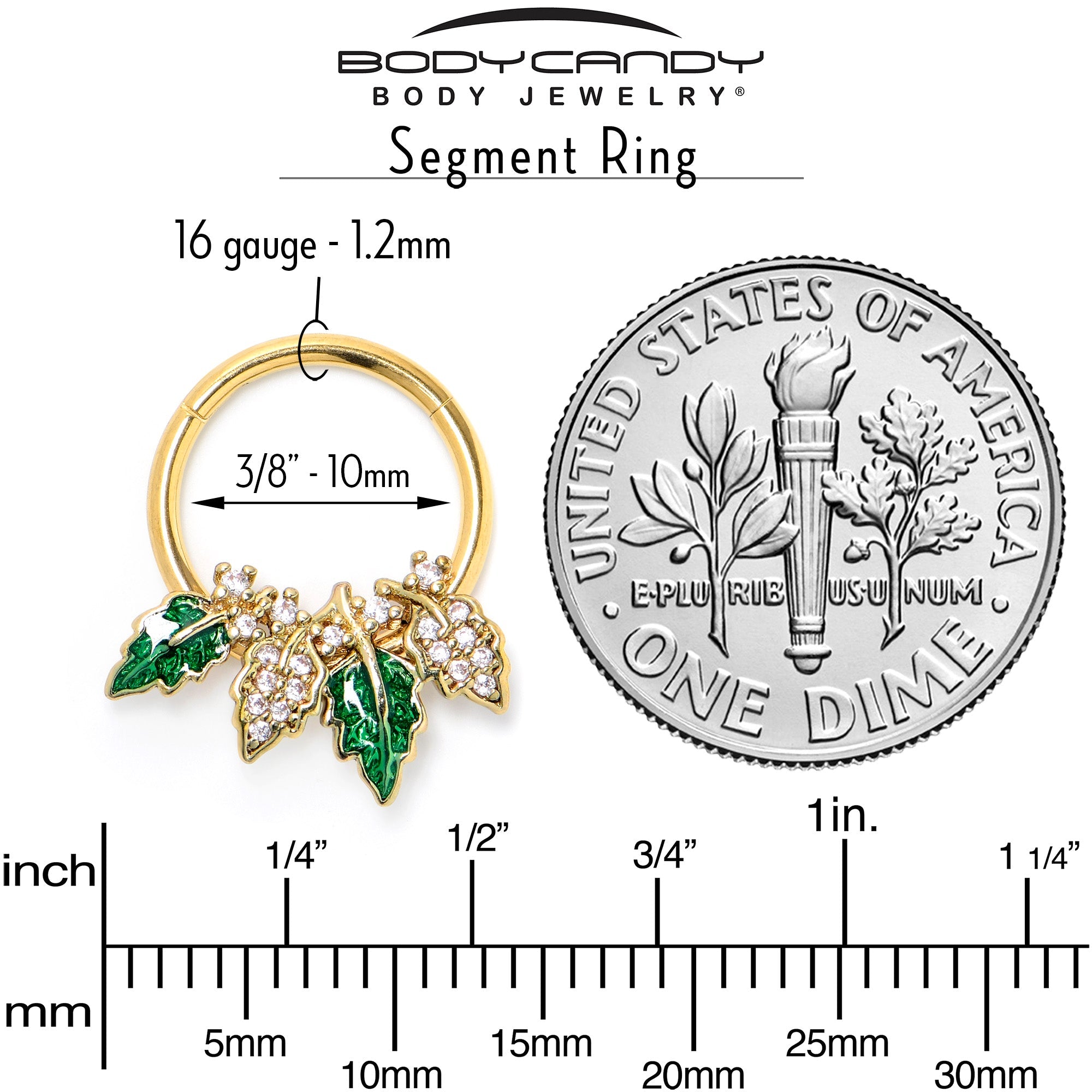 16G 3/8 Clear CZ Gem Gold Tone Leafy Beauty Hinged Segment Ring
