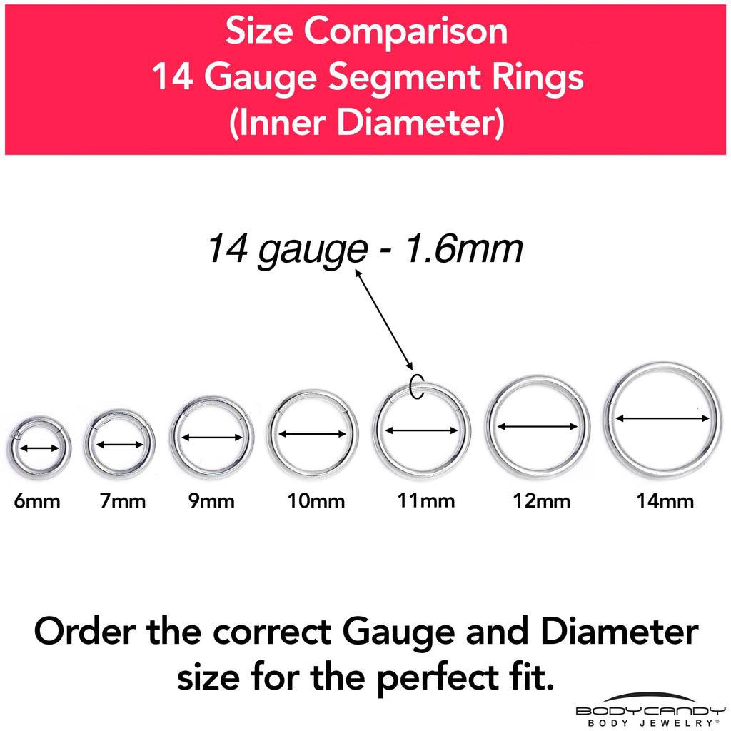 14G 9mm 316L Surgical Steel Precision Hinged Segment Hoop