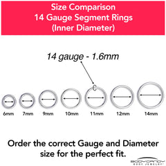 14G 1/2 316L Surgical Steel Precision Hinged Segment Hoop