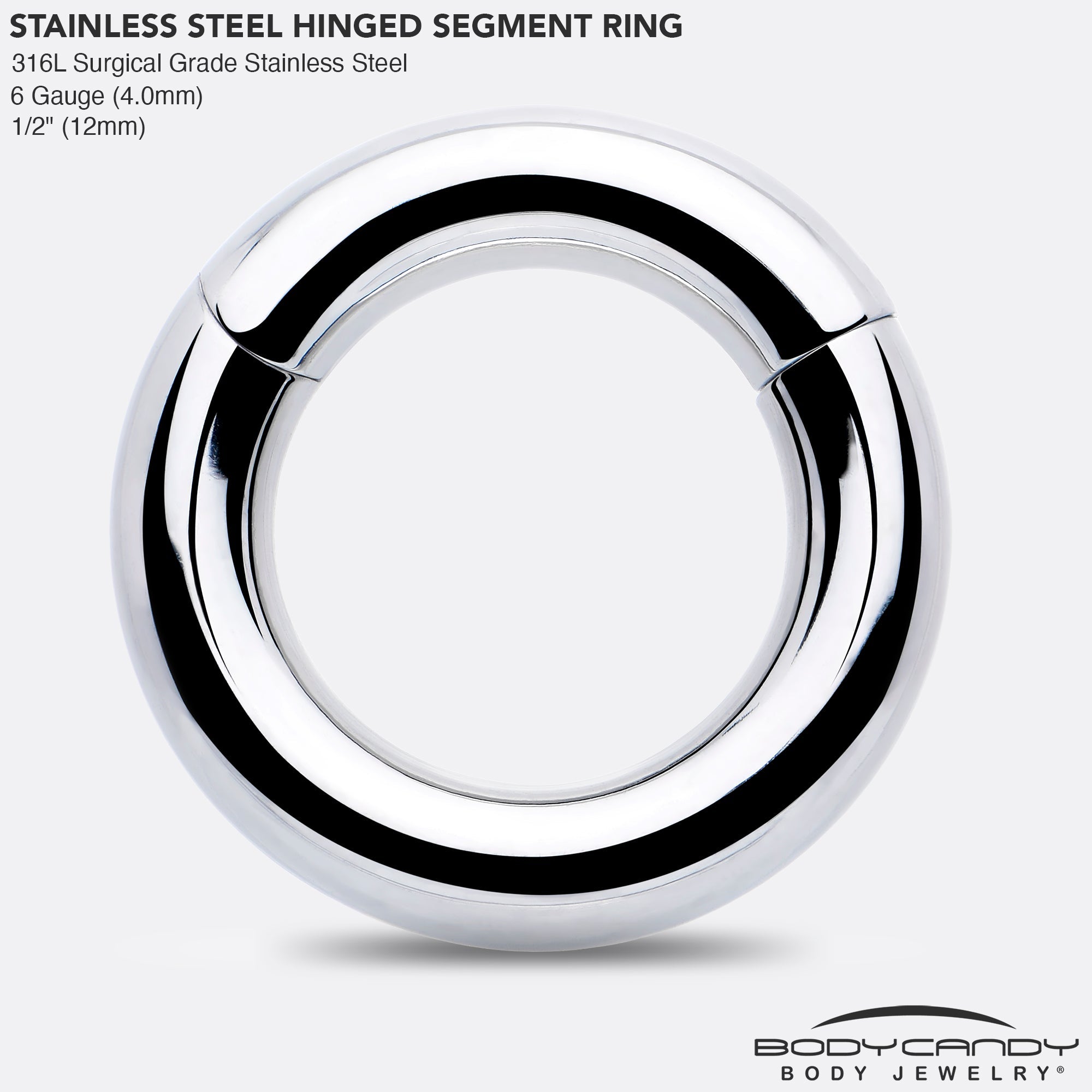 6G 1/2 316L Surgical Steel Precision Hinged Segment Hoop