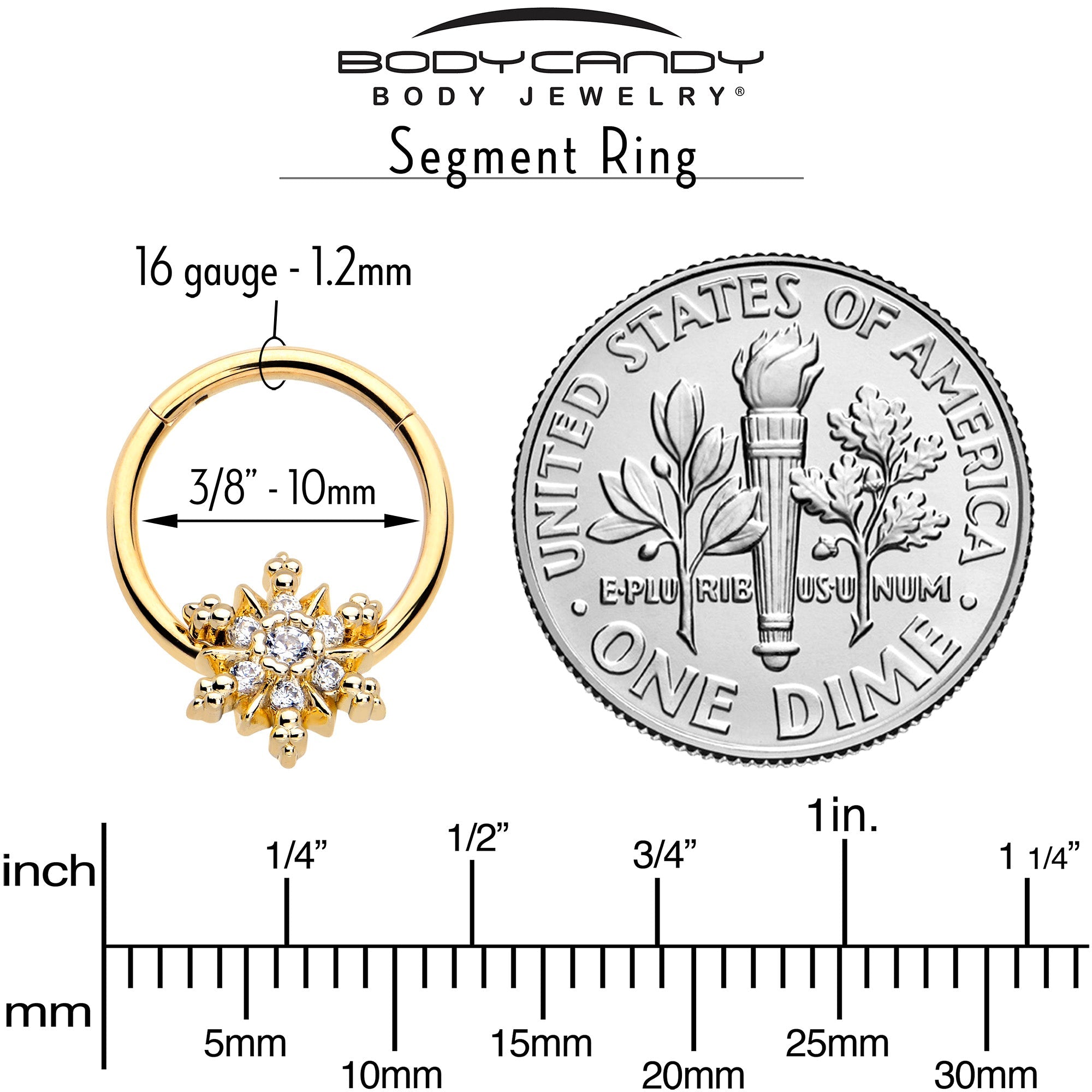 16G 3/8 Clear CZ Gem Gold Tone Glam Snowflake Hinged Segment Ring