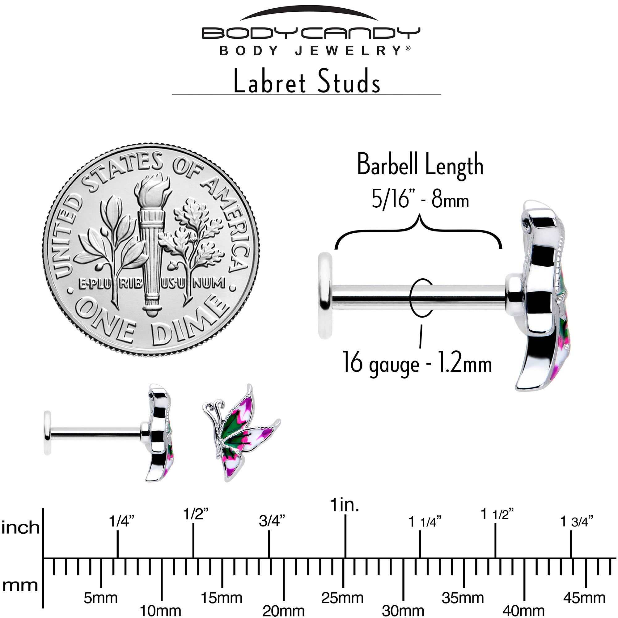 16G 5/16 Profile Butterfly Labret Monroe Tragus