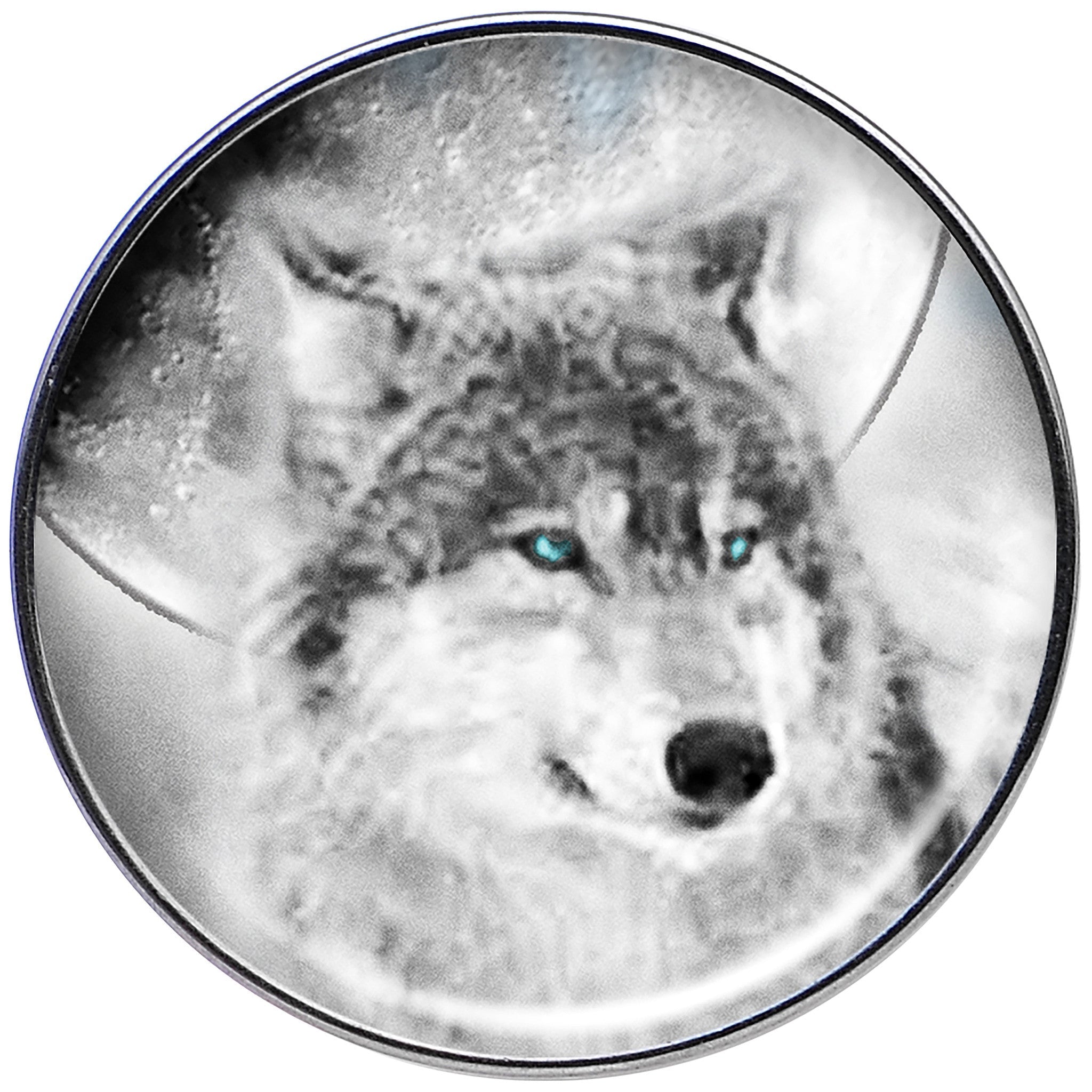 16G Blue Eyed Night Wolf Tragus Cartilage Earring
